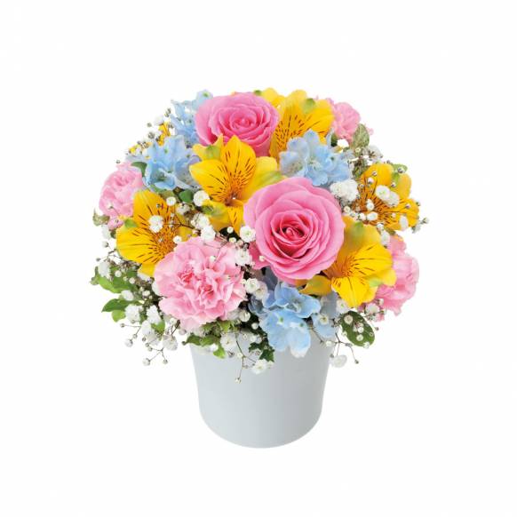 3000円 5000円まで の花 福岡県福岡市南区の花屋 花物語にフラワーギフトはお任せください 当店は 安心と信頼の花 キューピット加盟店です 花キューピットタウン